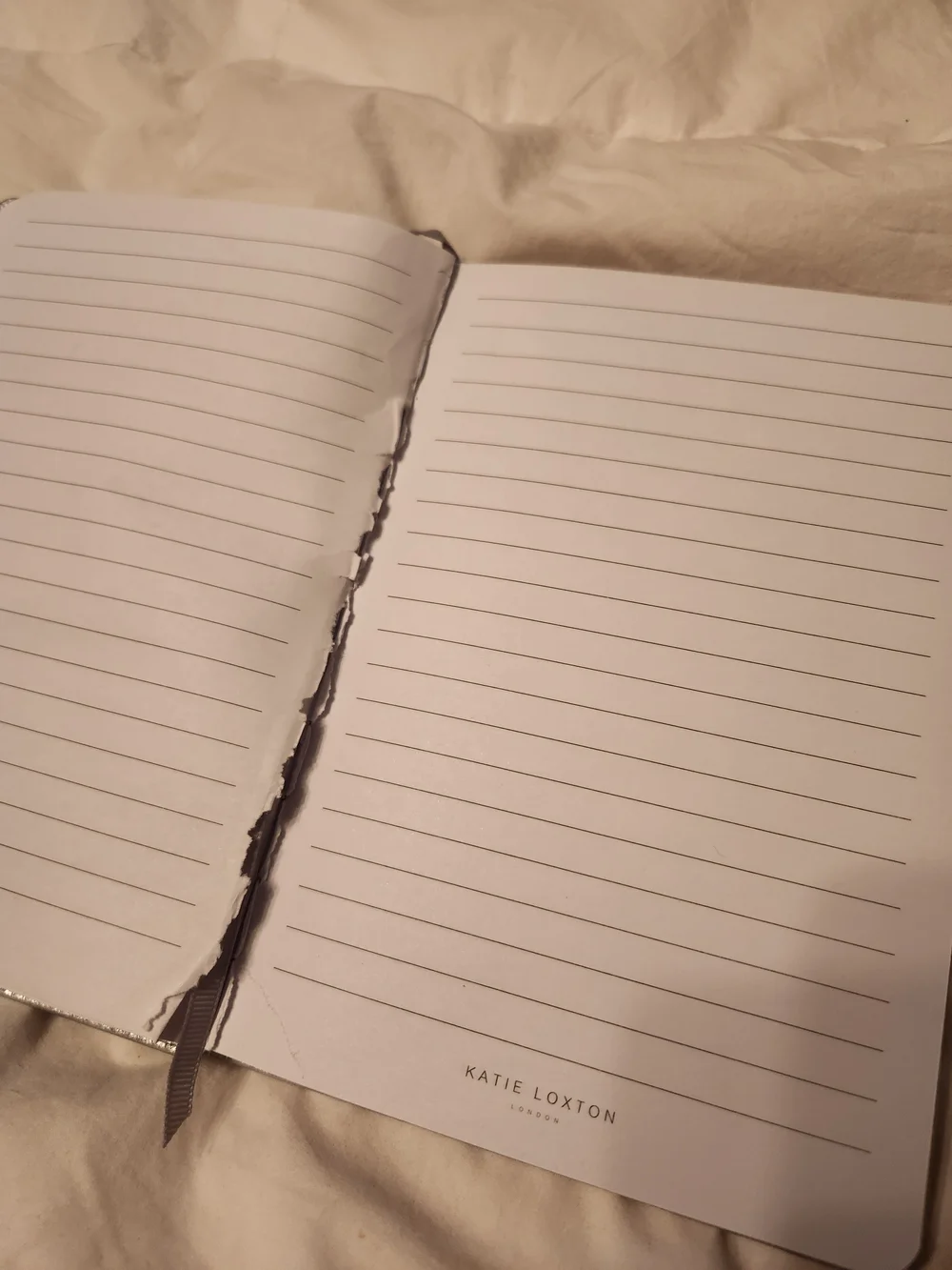 Silver Metallic Sparkle & Shine Journal - Notebook